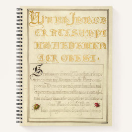 Joris Hoefnagel keverachtige insecten 1562 Notitieboek