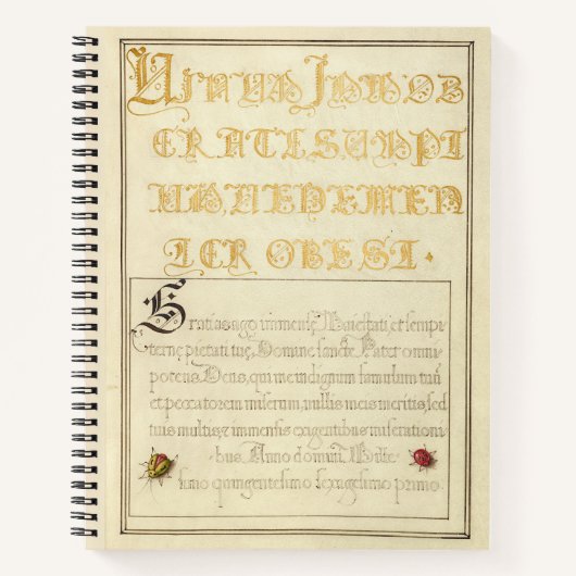 Joris Hoefnagel keverachtige insecten 1562 Notitieboek (Voorkant)