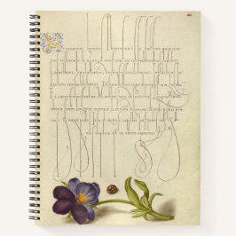 Joris Hoefnagel Ladybird en Europees 1562 Notitieboek