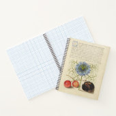 Joris Hoefnagel Love-in-a-Mist en Kastanje 1561 Notitieboek (Binnen)