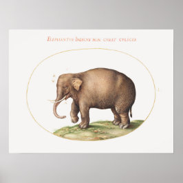 Joris Hoefnagel olifant met insecten verlichting Poster