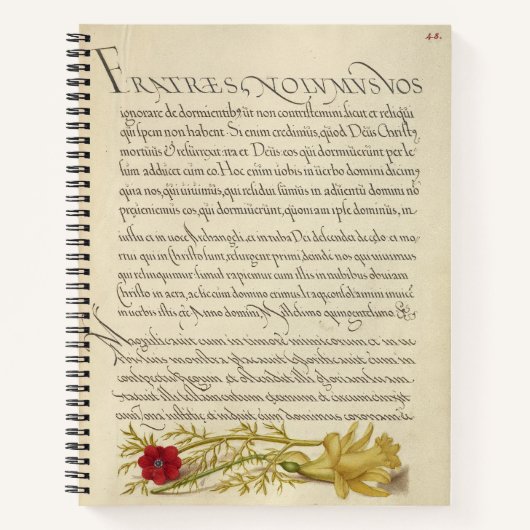 Joris Hoefnagel Pheasant's Eye en Buttercup 1562 Notitieboek (Voorkant)