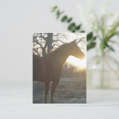 Jose Benito Briefkaart (Staand voorkant)