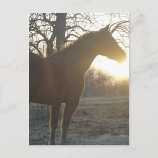 Jose Benito Briefkaart