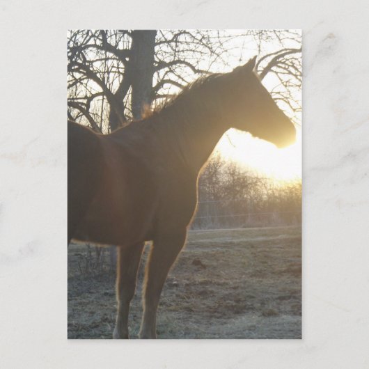 Jose Benito Briefkaart (Voorkant)