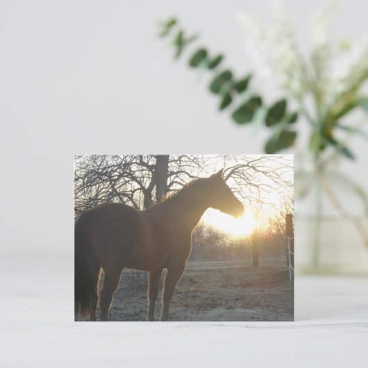 Jose Benito Briefkaart (Staand voorkant)