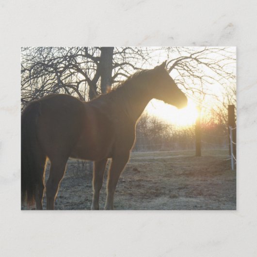 Jose Benito Briefkaart (Voorkant)