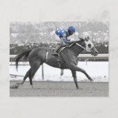 Jose Lezcano op Mo Flash Briefkaart (Voorkant)