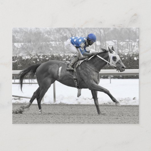 Jose Lezcano op Mo Flash Briefkaart (Voorkant)