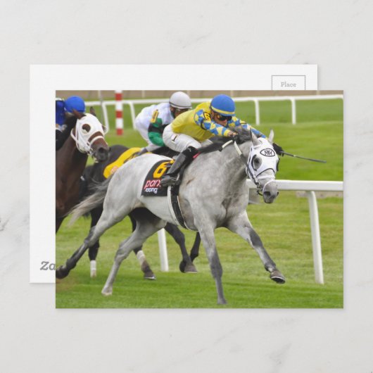 Jose Ortiz op snel en nauwkeurig Briefkaart (Voorkant / Achterkant)