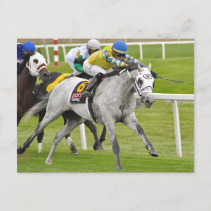 Jose Ortiz op snel en nauwkeurig Briefkaart