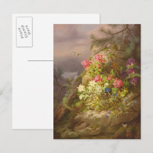 Josef Lauer Stilleven met bloemen en slakken Briefkaart (Voorkant / Achterkant)