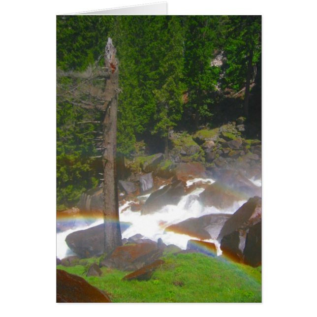 josemietregenboog (Voorkant)