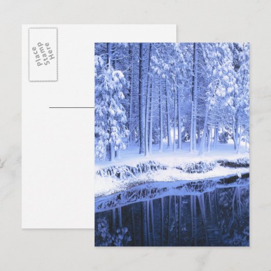 JOSEMITE NATIONAL PARK, CALIFORNIA. Verenigde Stat Briefkaart (Voorkant / Achterkant)