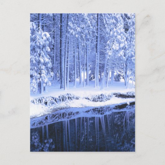 JOSEMITE NATIONAL PARK, CALIFORNIA. Verenigde Stat Briefkaart (Voorkant)