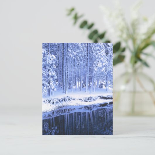 JOSEMITE NATIONAL PARK, CALIFORNIA. Verenigde Stat Briefkaart (Staand voorkant)