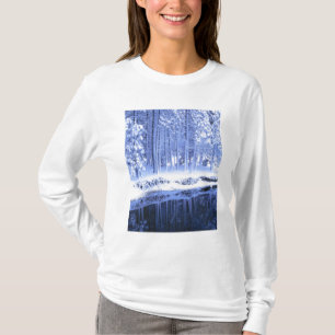 JOSEMITE NATIONAL PARK, CALIFORNIA. VS. vers T-shirt