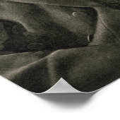 Joseph Chamberlain Poster (Hoek)