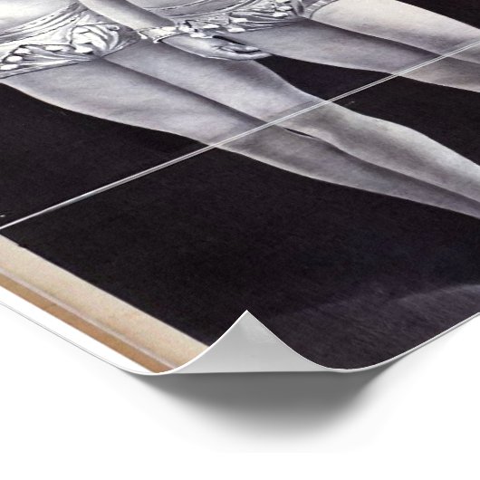 Joseph Hart Vaudeville, The Vanaukens Retro Thea Poster (Hoek)