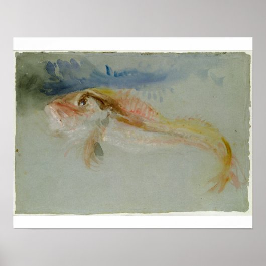 Joseph Mallord William Turner | A Gurnard Poster (Voorkant)