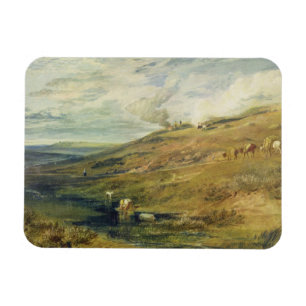 Joseph Mallord William Turner Dartmoor: De zure Magneet