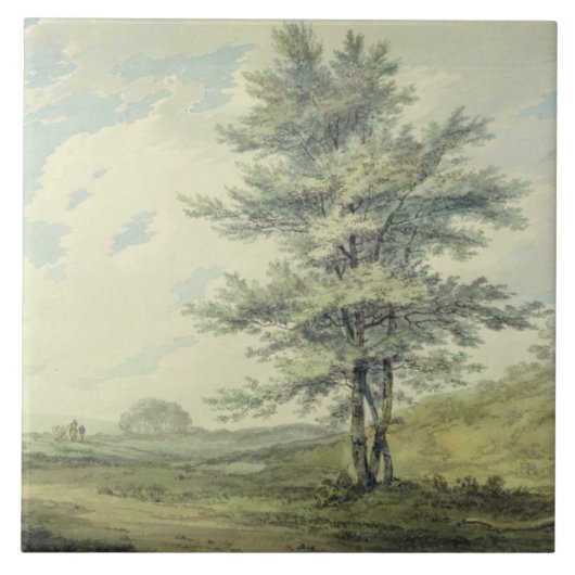 Joseph Mallord William Turner | Landschap met Tre Tegeltje (Voorkant)