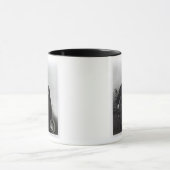 Joseph Paxton Mok (Midden)