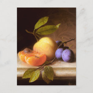 Joseph Peter Wilms - Peaches en Plums Briefkaart