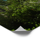 Josephine Lake Trail met Mount Guild bij Glacier Poster (Hoek)