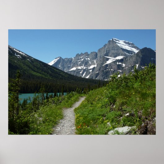 Josephine Lake Trail met Mount Guild bij Glacier Poster (Voorkant)