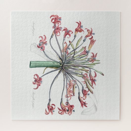 "JOSEPHINE'S LILY" REDOUTÉ JIGSAW PUZZLE LEGPUZZEL (Horizontaal)