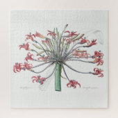 "JOSEPHINE'S LILY" REDOUTÉ JIGSAW PUZZLE LEGPUZZEL (Verticaal)