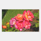 Joseph's Coat Roos #1-2 Stickers (Voorkant)