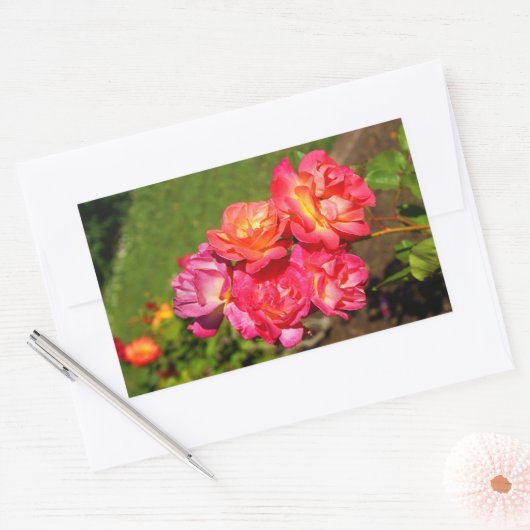 Joseph's Coat Roos #1-2 Stickers (Envelop)