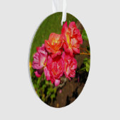 Joseph's Coat Roos #1 Ornament (voorkant)