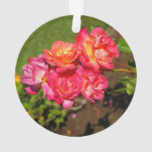 Joseph's Coat Roos #1 Ornament (achterkant)