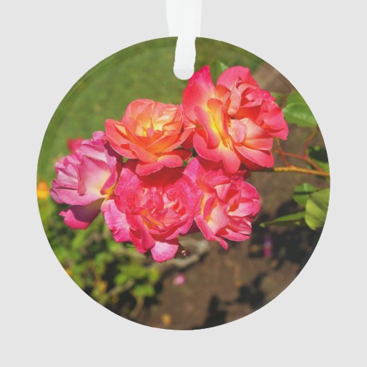Joseph's Coat Roos #1 Ornament (achterkant)