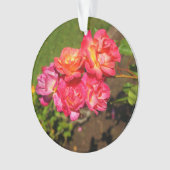 Joseph's Coat Roos #1 Ornament (voorkant)