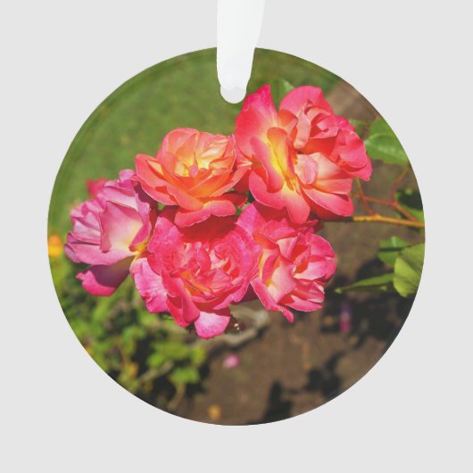 Joseph's Coat Roos #1 Ornament (voorkant)