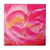 Joseph's Coat Roos - Tile Tegeltje (Voorkant)