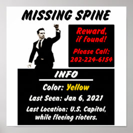 Josh Hawley Missing Spine Poster
