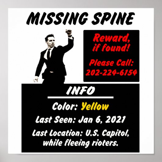 Josh Hawley Missing Spine Poster (Voorkant)