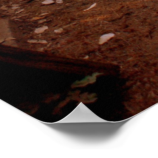 Joshua 1:9 Wees niet bang Poster (Hoek)