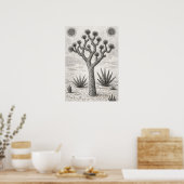 joshua boom schets | woestijn schets kunst poster (Keuken)