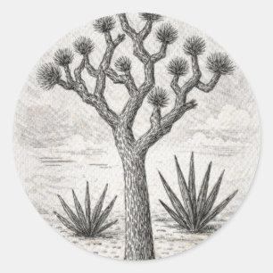 joshua boom schets woestijn schets kunst ronde sticker