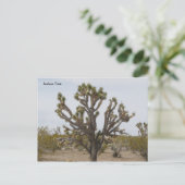 joshua, Joshua Tree Briefkaart (Staand voorkant)