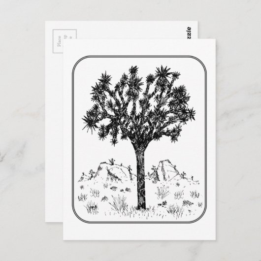 Joshua-structuur (rand) briefkaart (Voorkant / Achterkant)