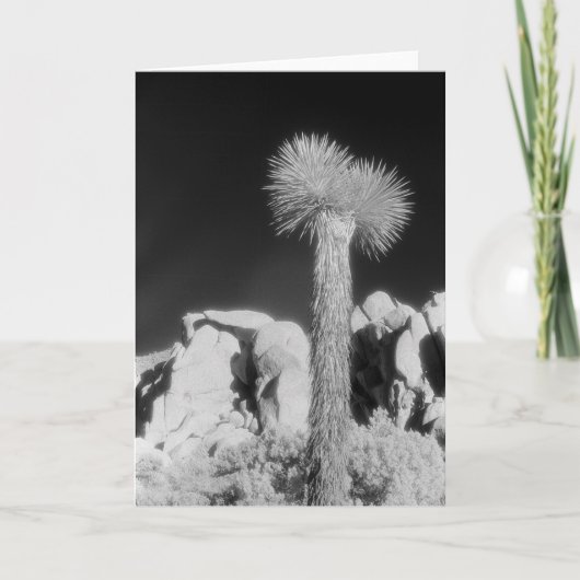 Joshua Tree #1 Kaart (Voorkant)
