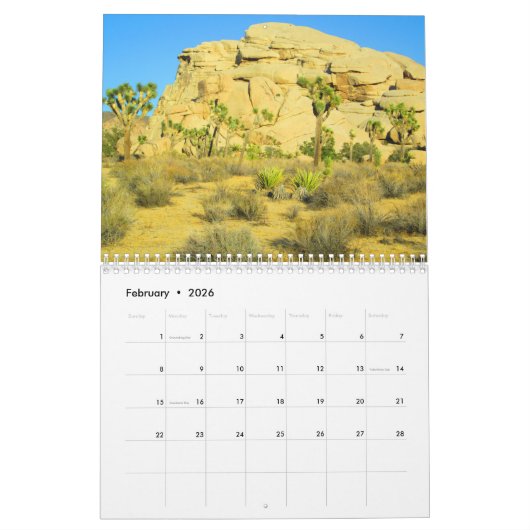 Joshua Tree 2018 door Julia Hanna Kalender (Feb 2026)