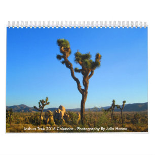 Joshua Tree 2018 door Julia Hanna Kalender